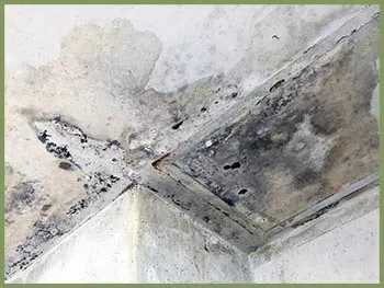 Delray Beach Restoration Company Delray Beach, FL 561-325-7358 - abt-page-wgr-24