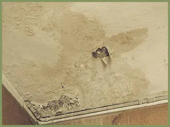 Delray Beach Restoration Company Delray Beach, FL 561-325-7358 - serv-damage-wgr-24