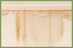 Delray Beach Restoration Company Delray Beach, FL 561-325-7358