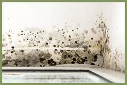 Delray Beach Restoration Company Delray Beach, FL 561-325-7358